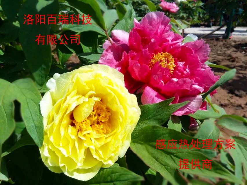 1587021414786448.png 圖片13.png